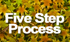 Five Step Process