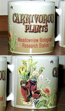Meadowview Coffee Mugs